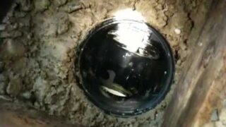 Backwater Valve