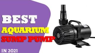 Best Aquarium Sump Pump On Amazon on 2021