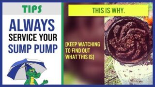 🐊Sump Pump Maintenance – Why Should I Service My Sump Pump?