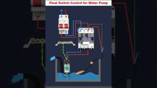 Float Switch Control for Motor #shorts #electrical #electricalshorts