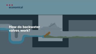 How do backwater valves work?