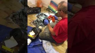How To Install A BackWater Valve (Master Plumbing By Vdracuals Plumbing Inc.