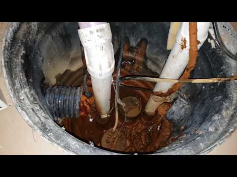 Installing a Everbilt Vertical Float Switch for Sump Pumps | #sumppump #everbilt #replacement