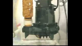 LevelGuard Sump Pump Switch in action