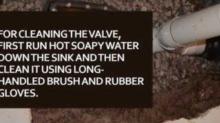 Maintaining The Backwater Valve