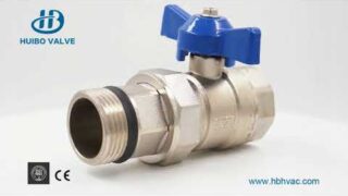 Manifold backwater valve