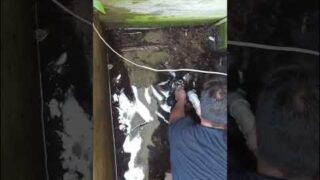 Section 8 Sump Pump Repair #section8 #diy #landlord
