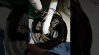 Sump pump maintenance 1