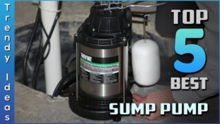 Top 5 Top 5 Best Sump Pumps Review in 2023