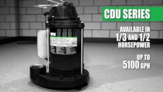 WAYNE Premium Line of CDU Sump Pumps