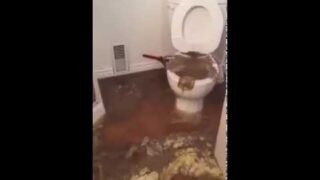 What happened if basement is not protected by backwater valve