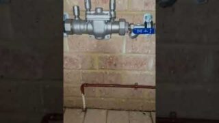 Backflow valve