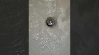 Backwater valve failure