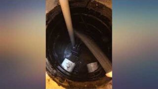 WAYNE CDU790 1//3 HP Submersible Cast Iron and Steel Sump Pump With Integrated review