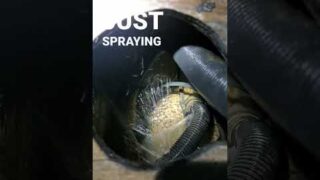 Fifty Point finds a sump pump that needs to be repaired.