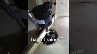Pedestal Sump Pump