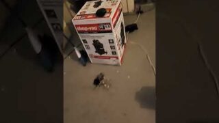 replacing my sump pump