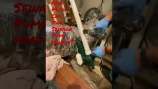 Sewage Ejector Pump Replacement @TappPlumbing #plumbing #plumbers #shorts